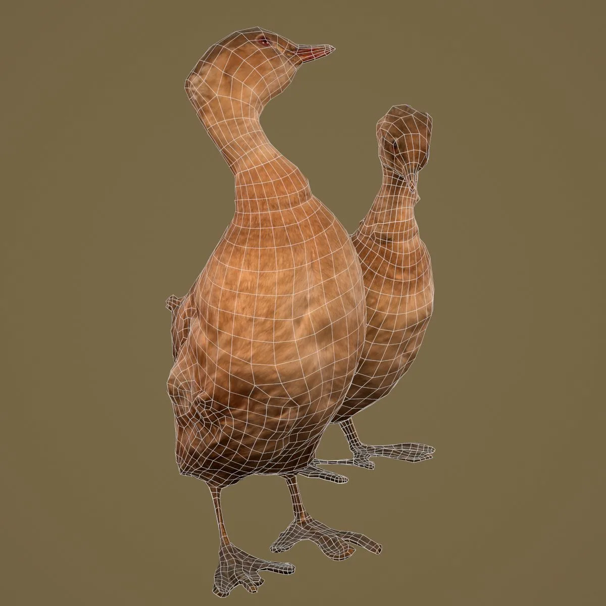 36 Realistic 3D Scanned Animals and Birds for Virtual Museums, VR, and Art Projects Master Collection