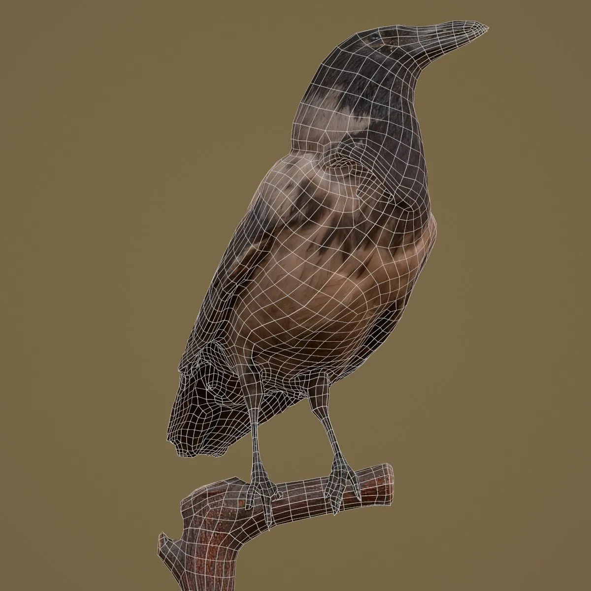 36 Realistic 3D Scanned Animals and Birds for Virtual Museums, VR, and Art Projects Master Collection