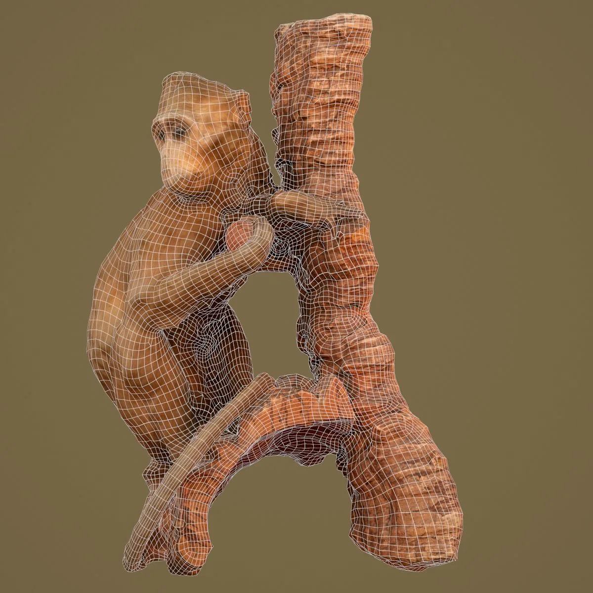 36 Realistic 3D Scanned Animals and Birds for Virtual Museums, VR, and Art Projects Master Collection