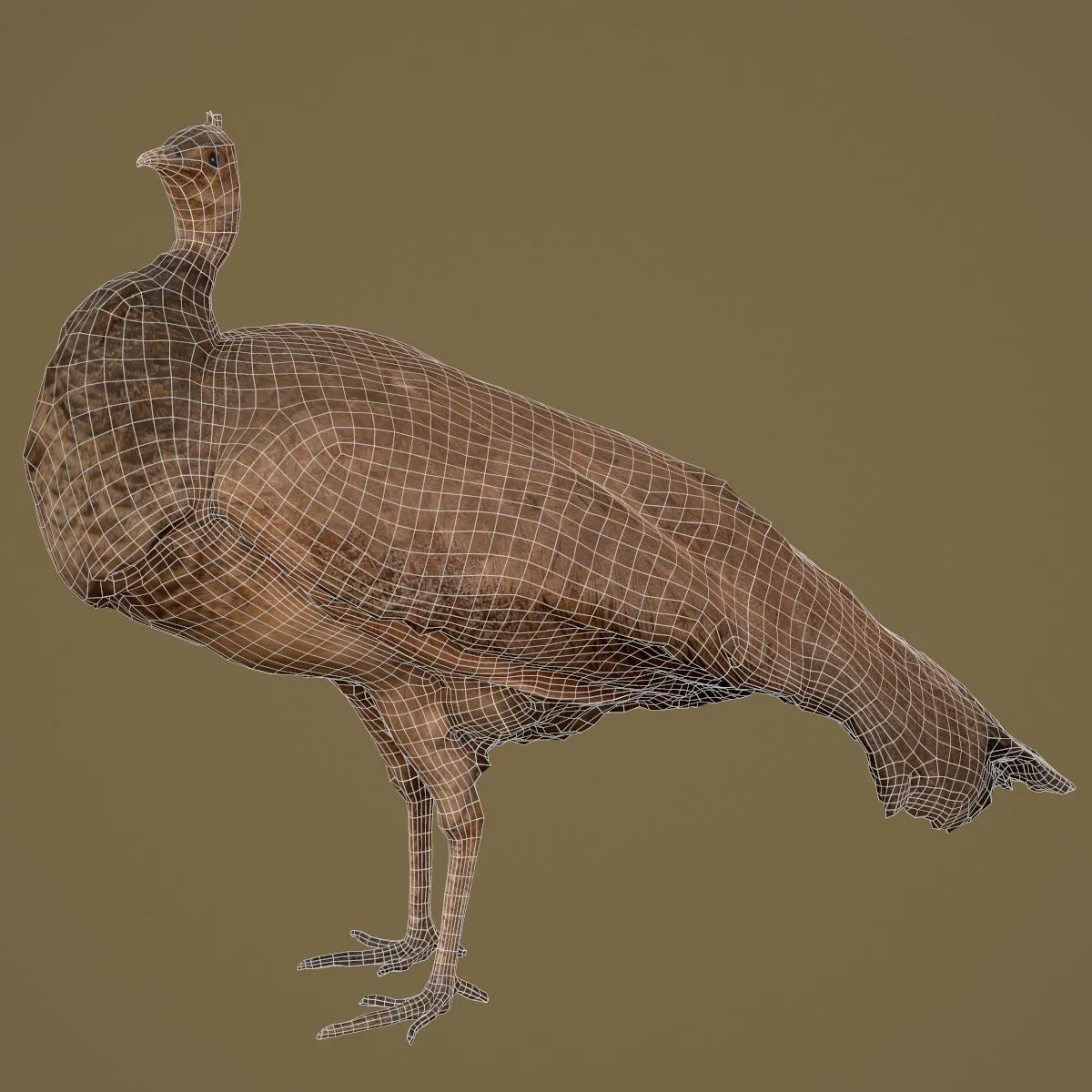 36 Realistic 3D Scanned Animals and Birds for Virtual Museums, VR, and Art Projects Master Collection