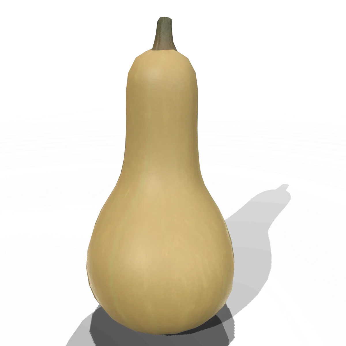 Squash Butternut