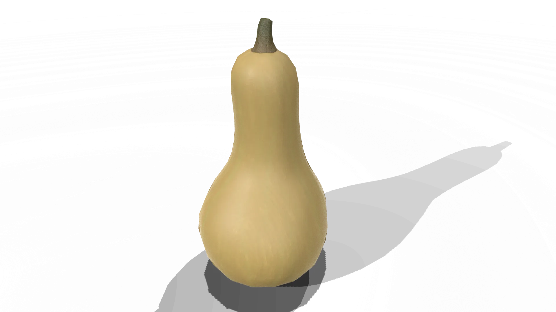 Squash Butternut