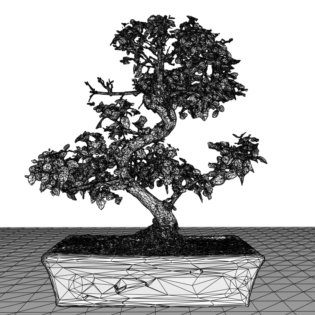 3D Scanned Bonsai Tree 6 by Polygonal Miniatures - High-Quality Asset for Virtual Reality and Digital Projects