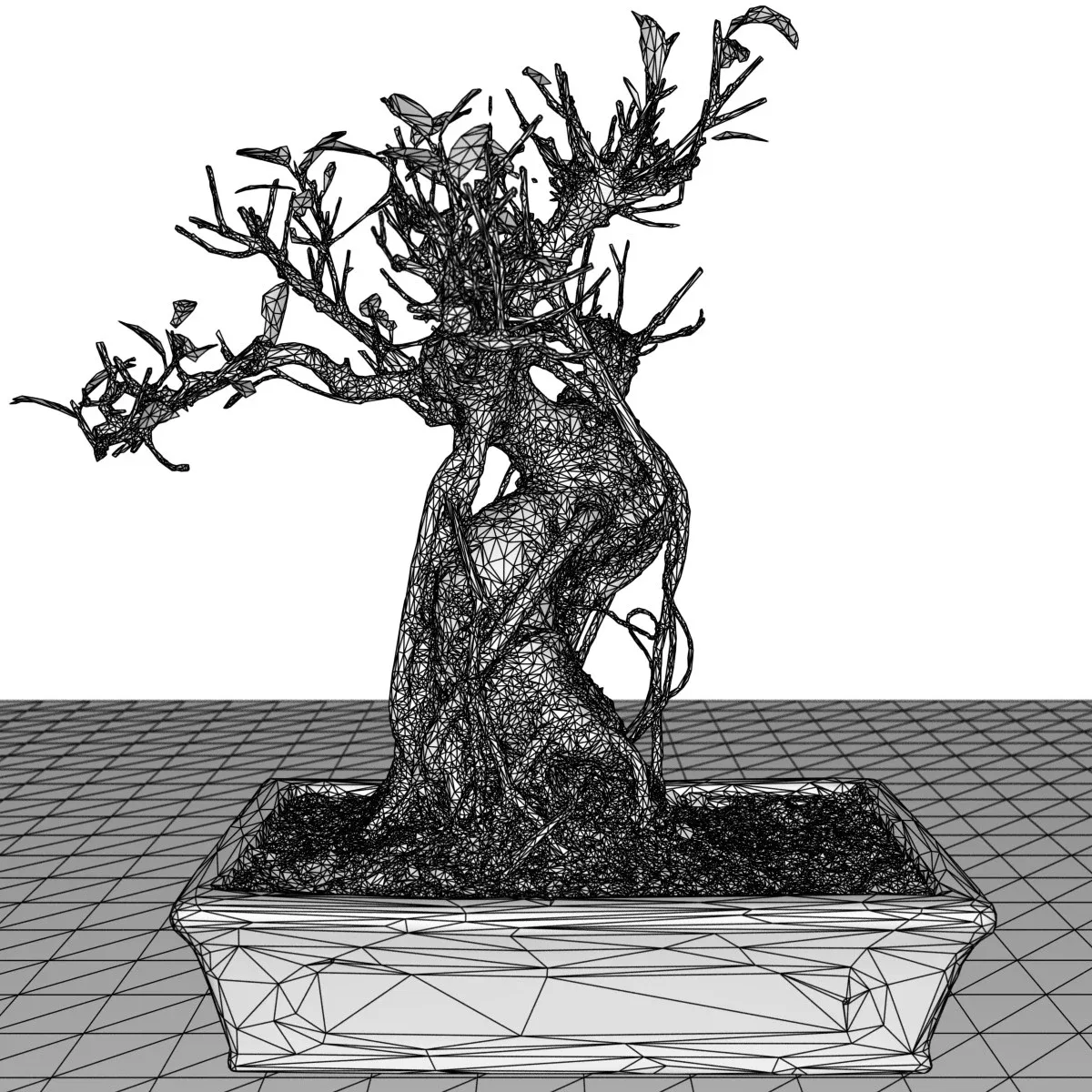 3D Scanned Bonsai Tree Ficus Retusa by Polygonal Miniatures - High-Quality Asset for Virtual Reality and Digital Projects