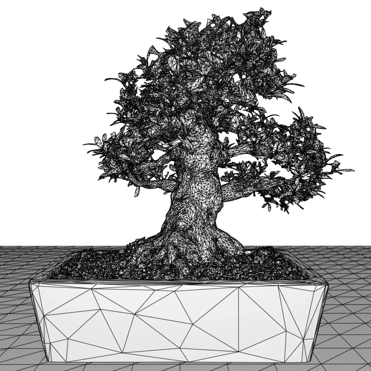 3D Scanned Bonsai Tree Satsuki Kinsai 1 by Polygonal Miniatures - High-Quality Asset for Virtual Reality and Digital Projects