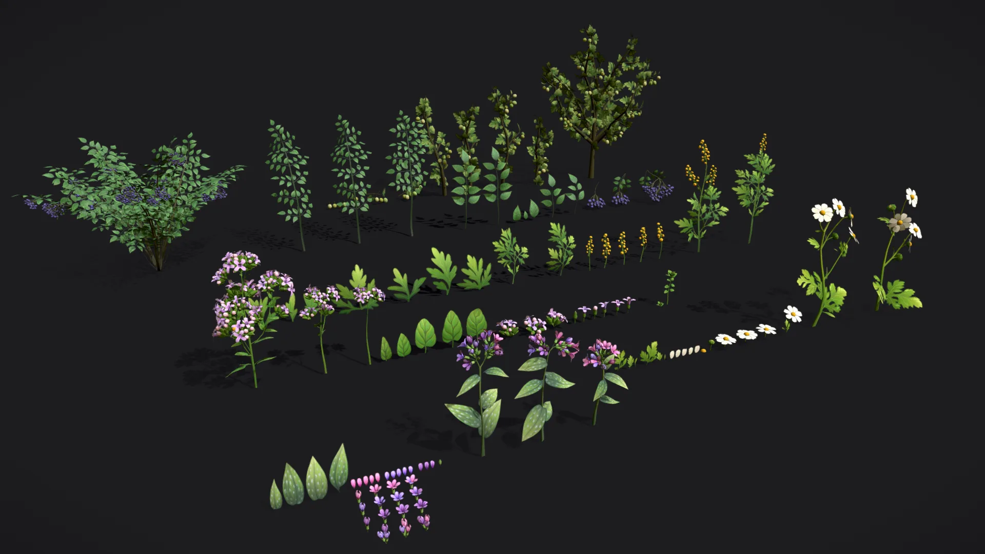 Pack Stylized handpainted plants and sprigs