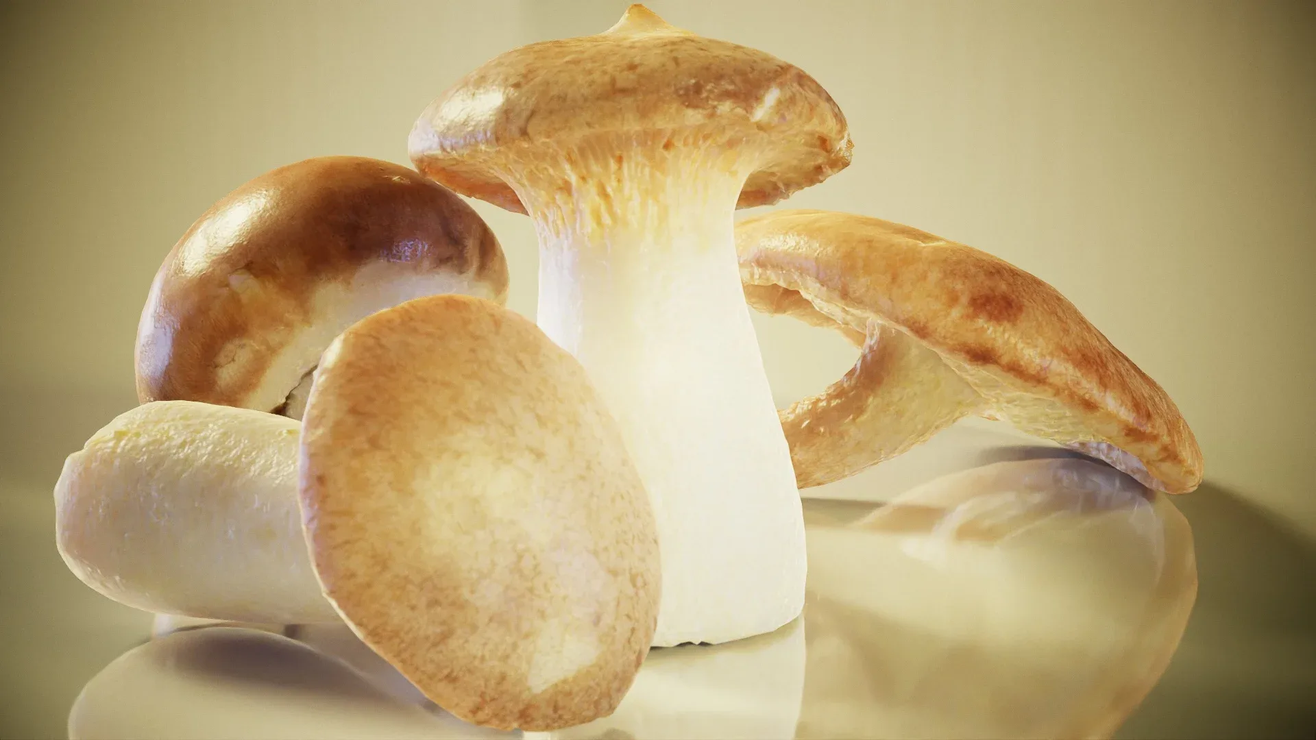 Mushrooms