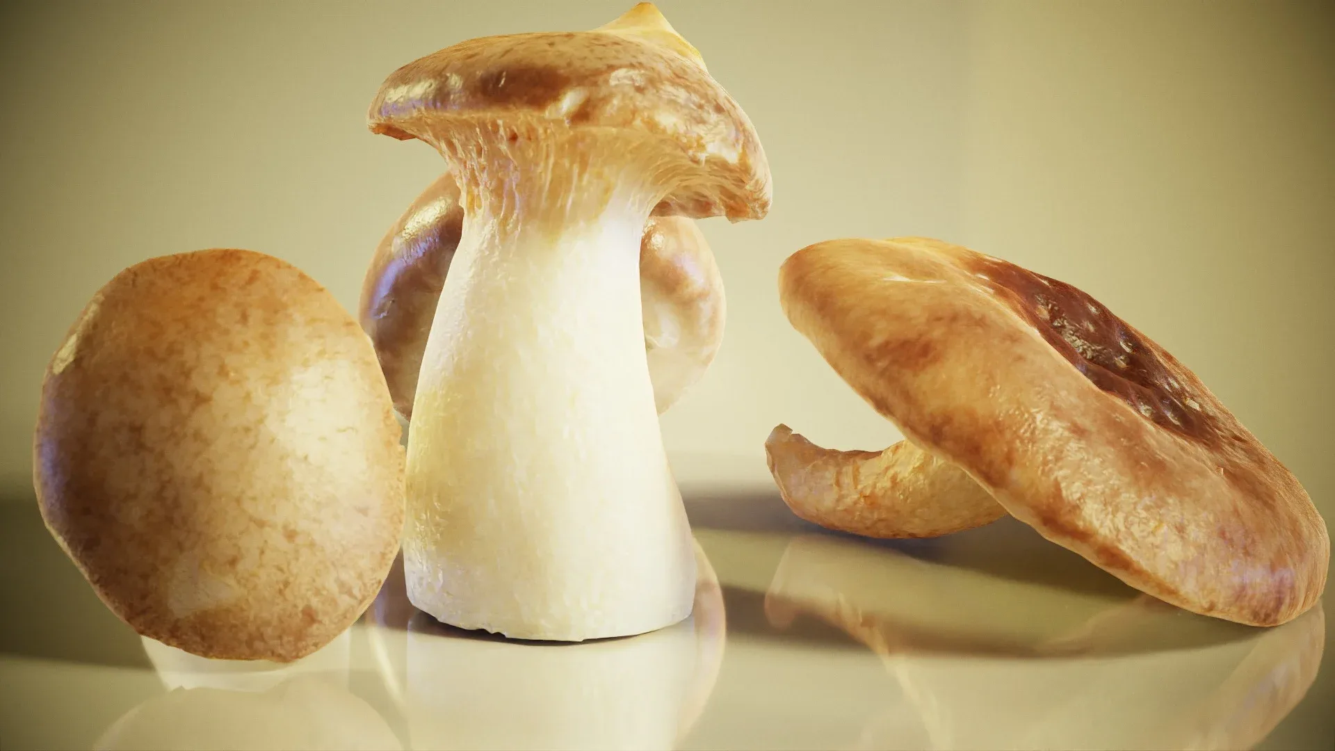 Mushrooms