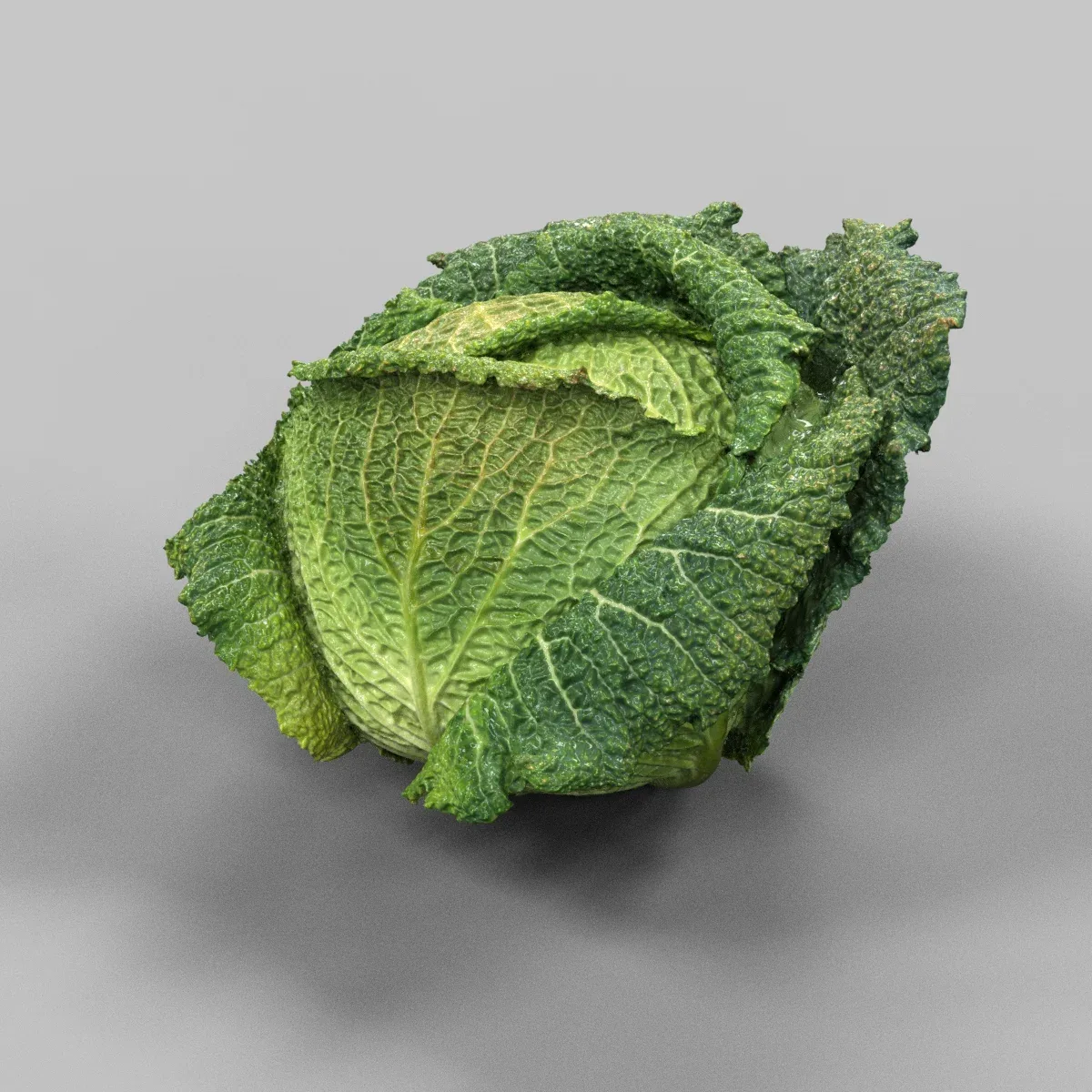 Realistic 3D Scanned Model Collection of 25 Fruits and Vegetables with OBJ Format and 2k JPG Textures