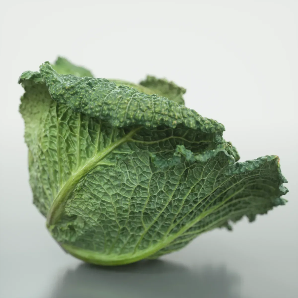 Savoye Cabbage