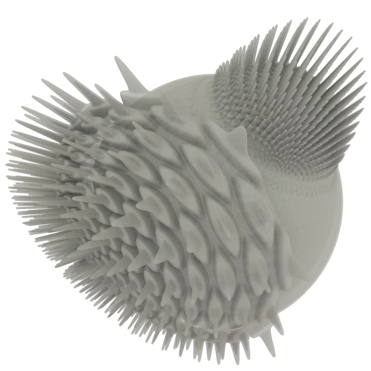 Generative Spherical Object Fish School