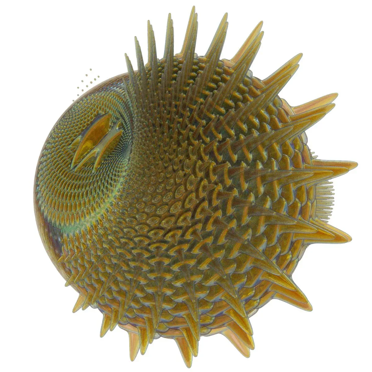 Generative Spherical Object Fish School