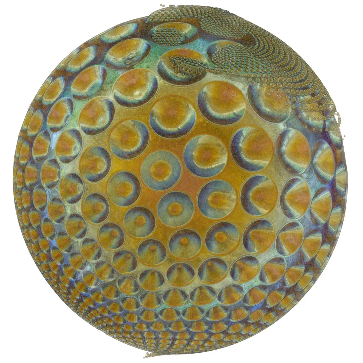 Generative Spherical Object Multiverse