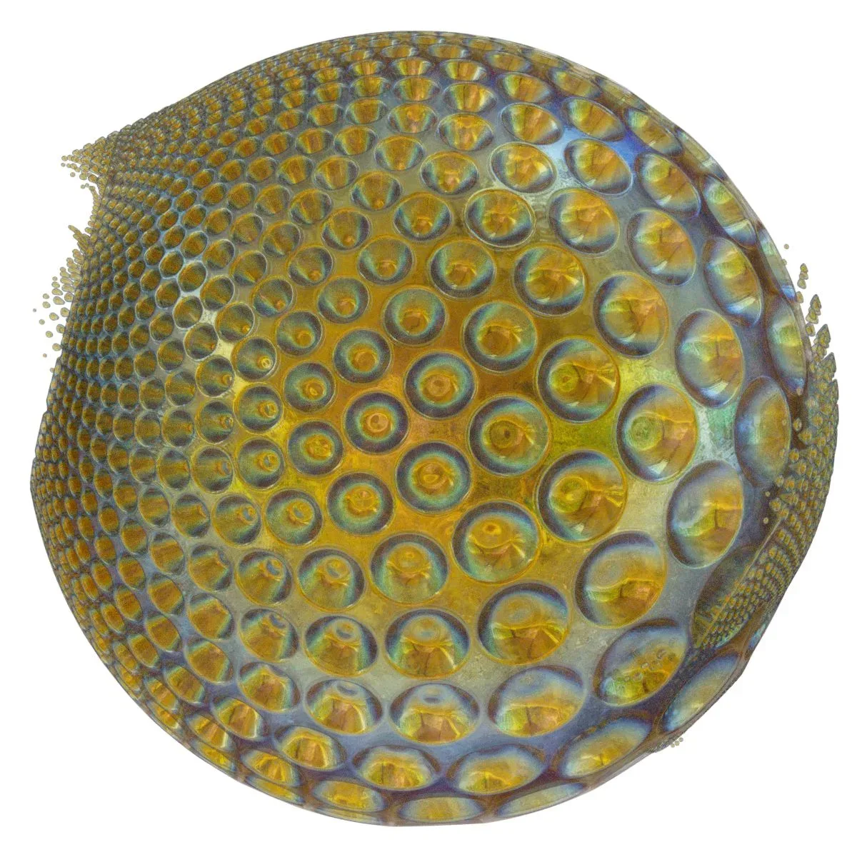 Generative Spherical Object Multiverse