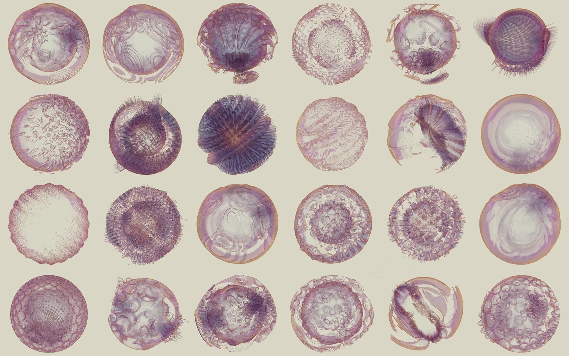 24 Generative Spherical Objects Collection