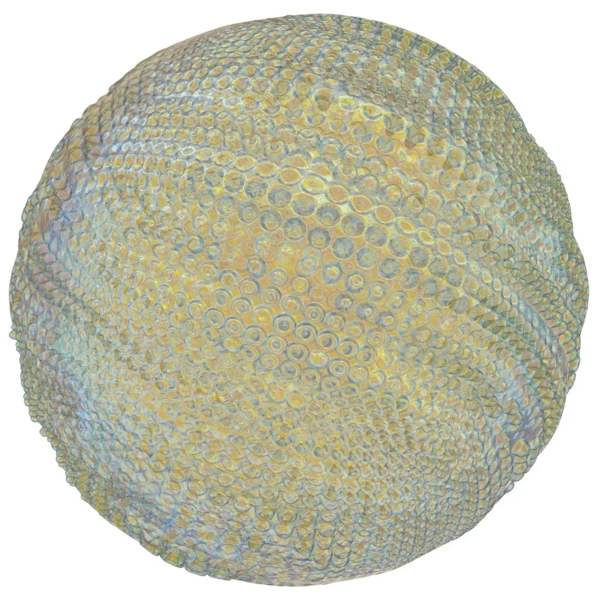 24 Generative Spherical Objects Collection