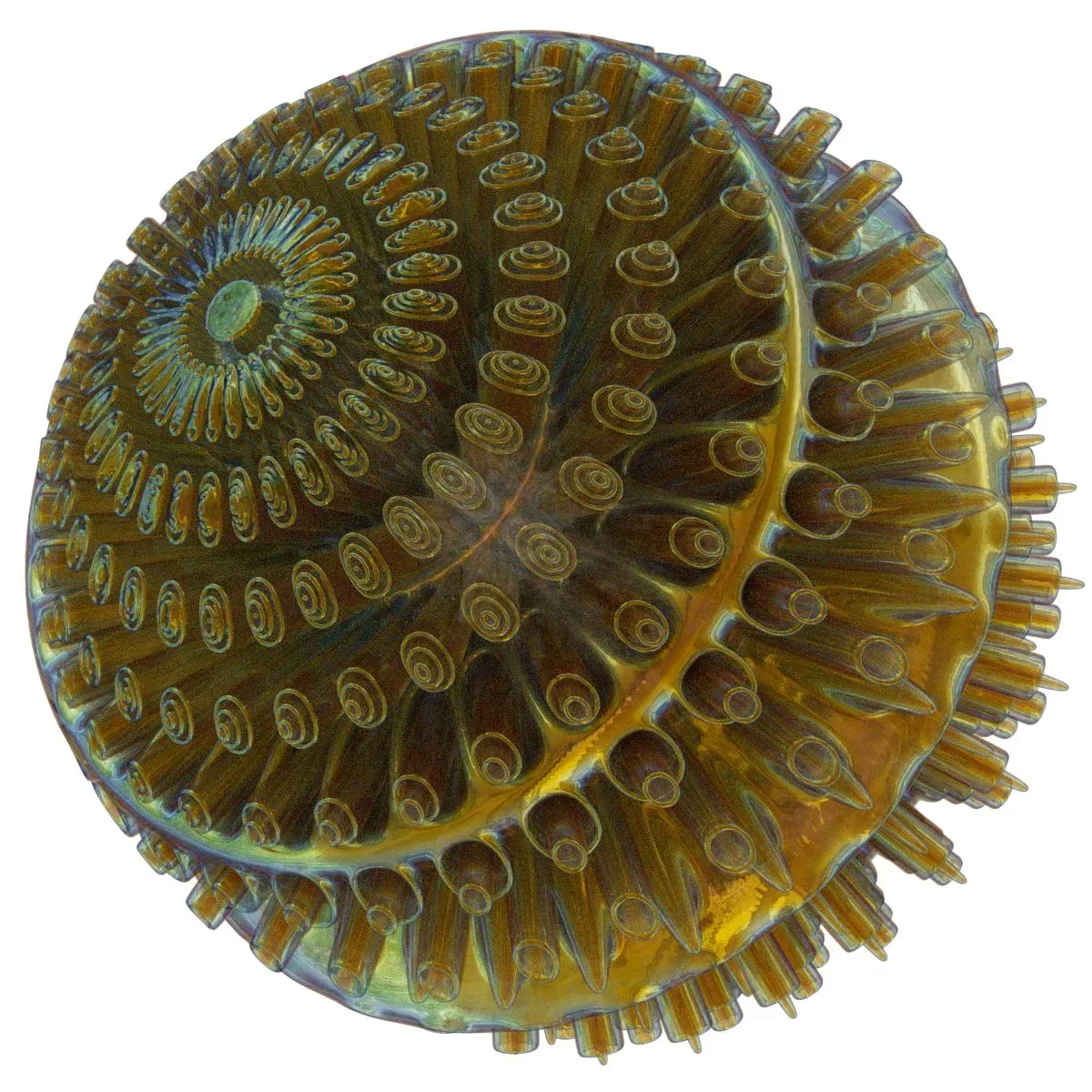 24 Generative Spherical Objects Collection