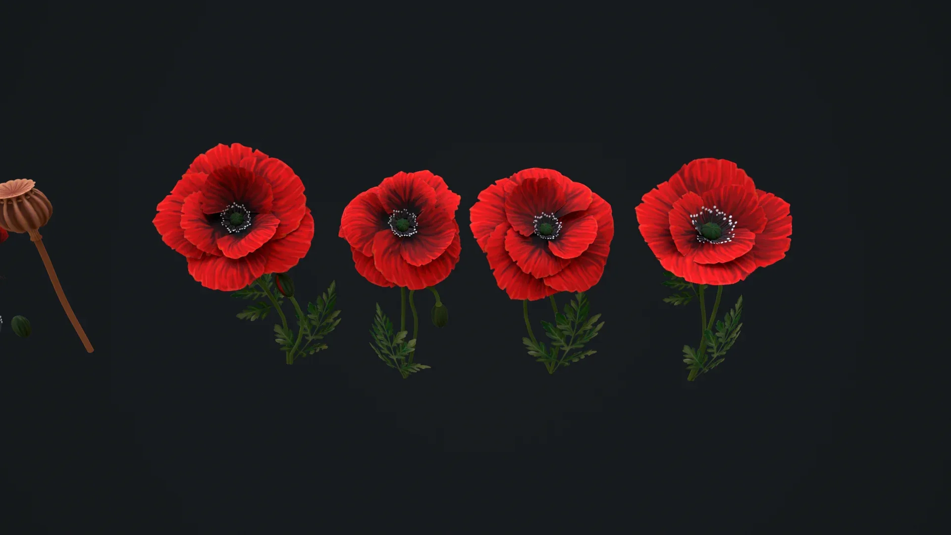 Stylized handpainted Poppy Low-poly 3D model