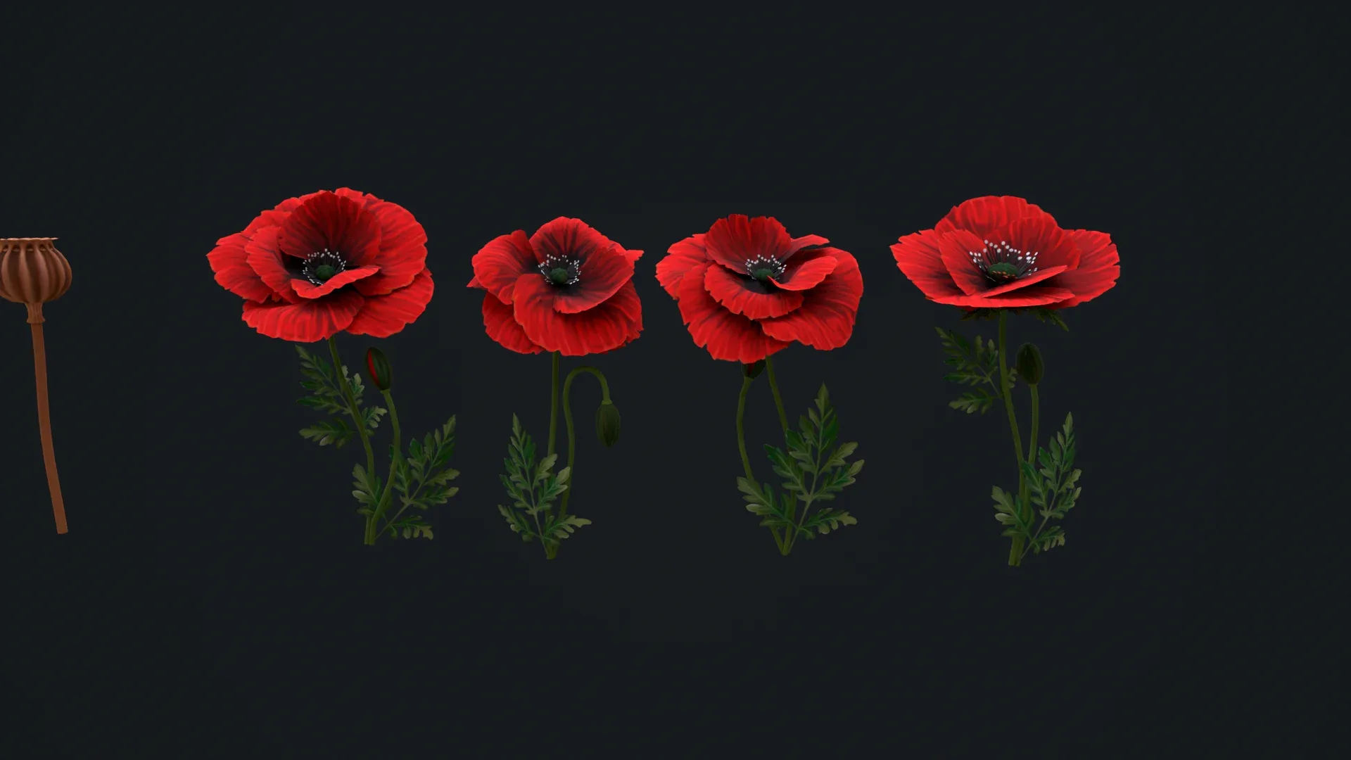 Stylized handpainted Poppy Low-poly 3D model