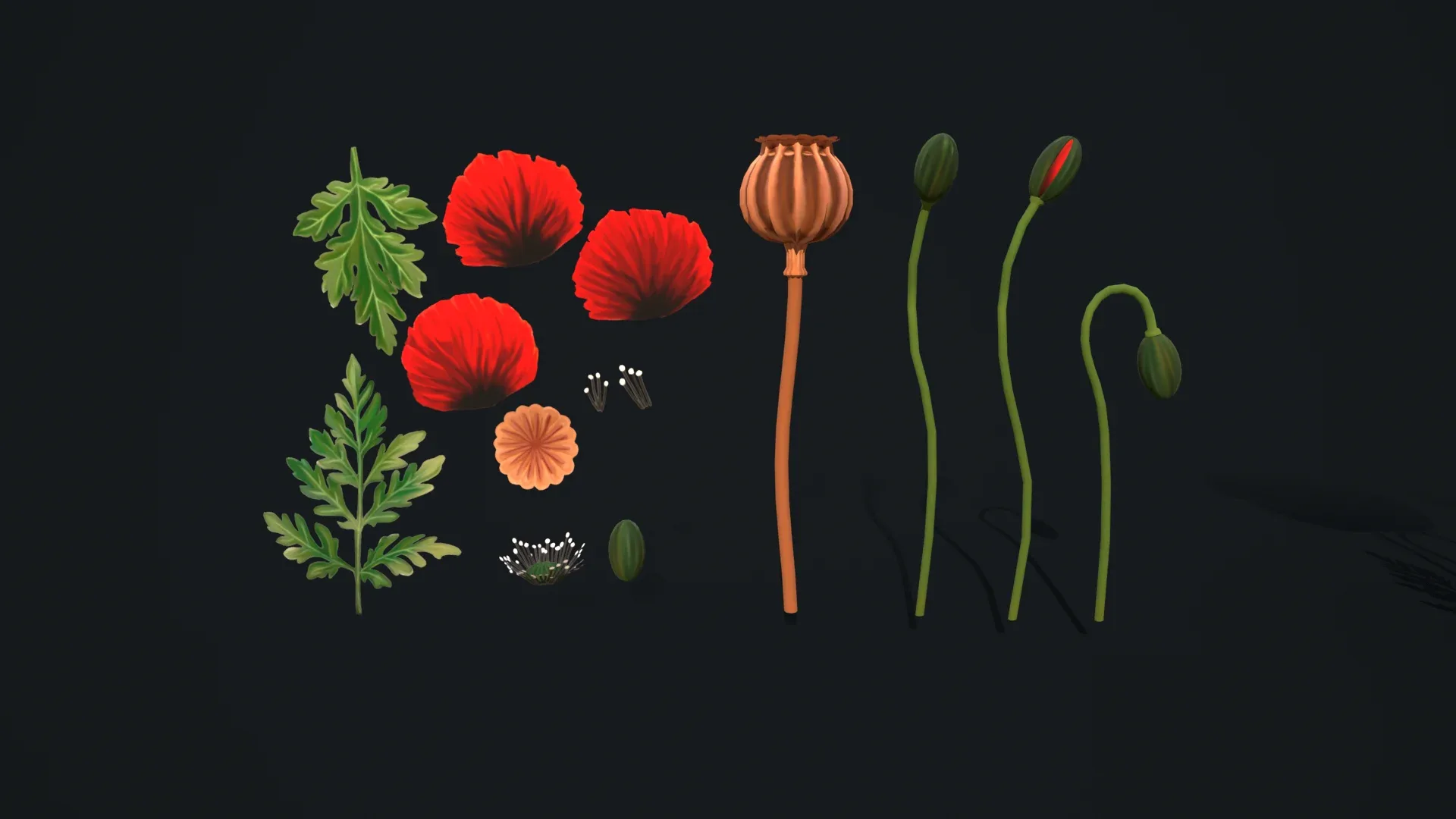 Stylized handpainted Poppy Low-poly 3D model