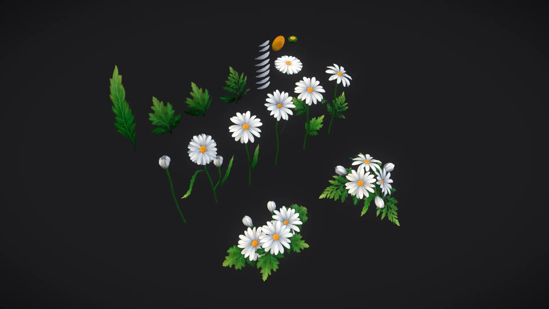 Handpainted stylized Daisies