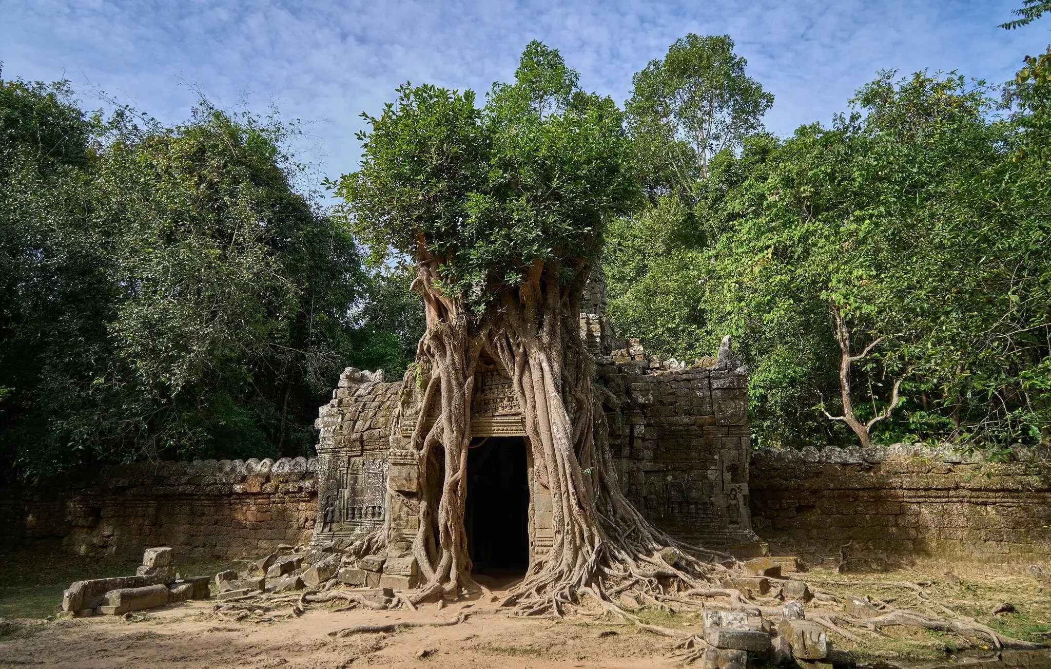 155 photos of Overgrown Entrance Khmer Temple