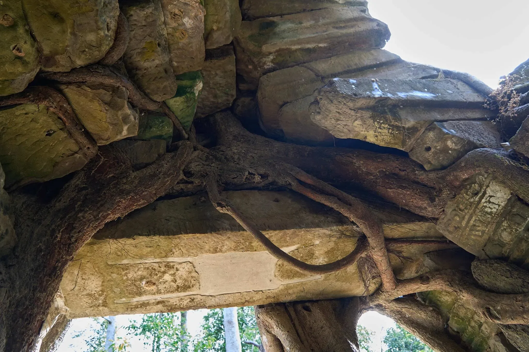 155 photos of Overgrown Entrance Khmer Temple