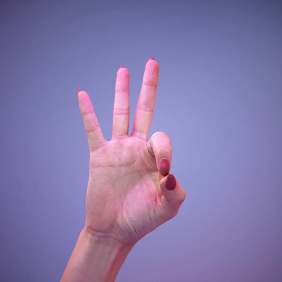 36 Highly Detailed 3D Scanned Women's Hands in American Sign Language