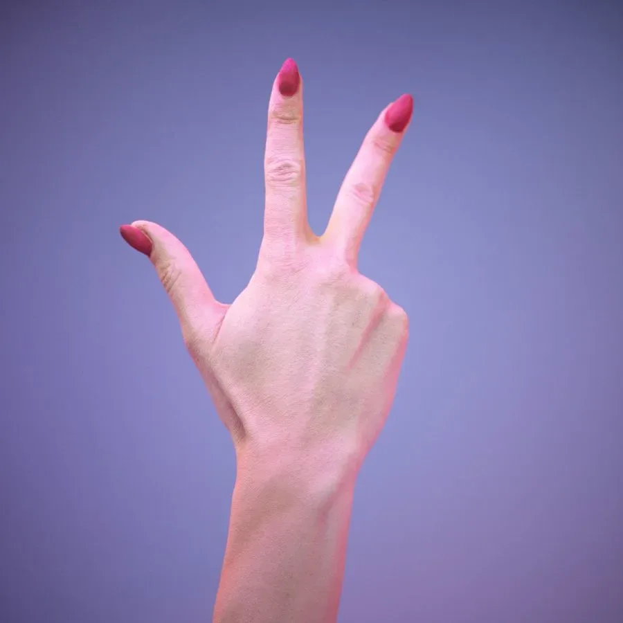 36 Highly Detailed 3D Scanned Women's Hands in American Sign Language