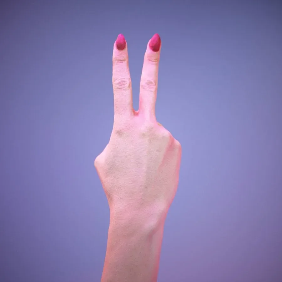 36 Highly Detailed 3D Scanned Women's Hands in American Sign Language