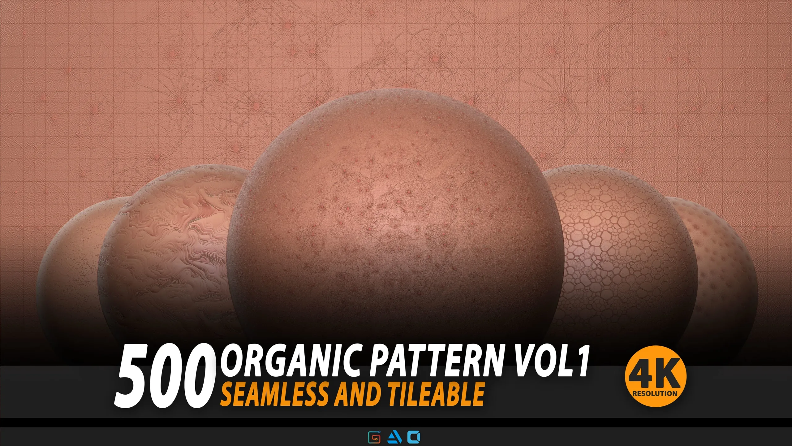 500 Organic Pattern Vol1