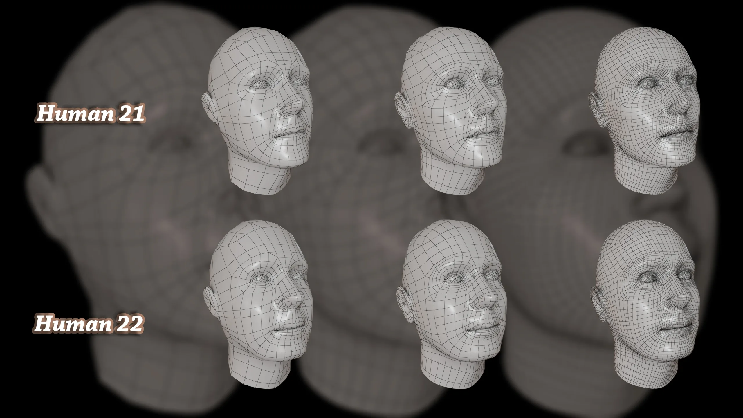 25 Male Head 3D Model Basemesh