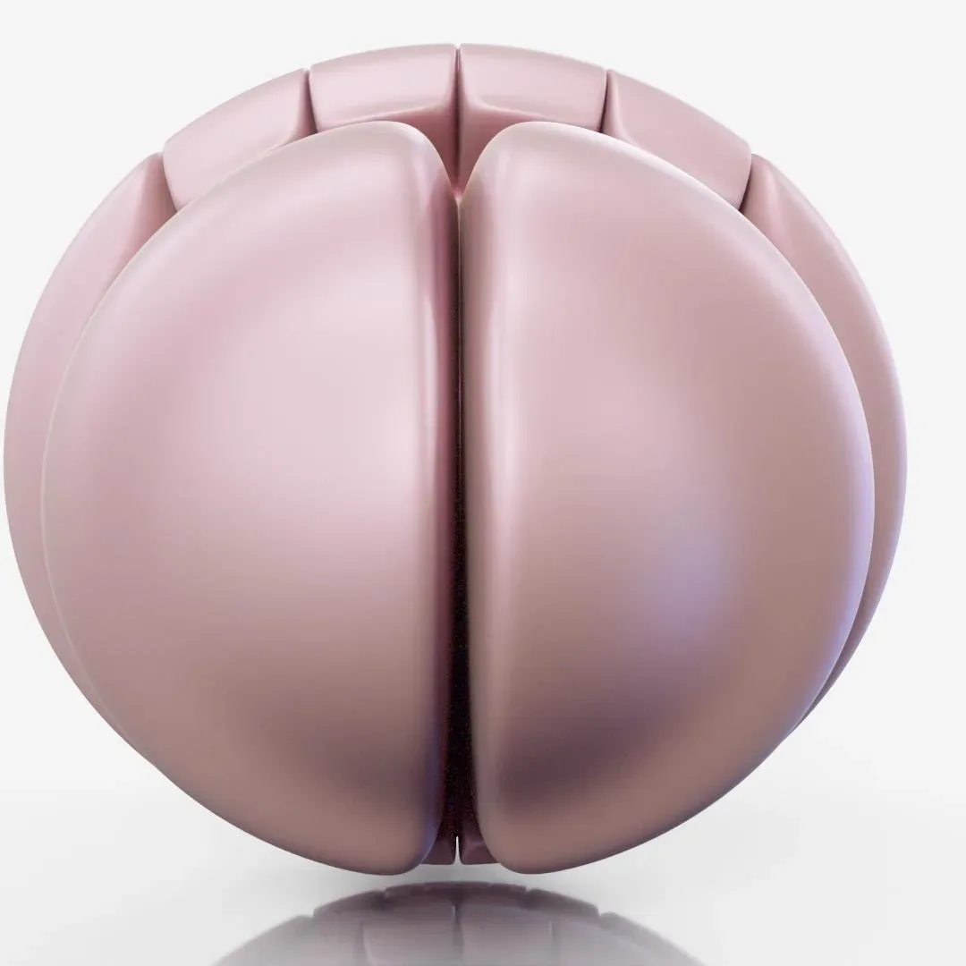 32 Abstract Mathematical Shapes Collection