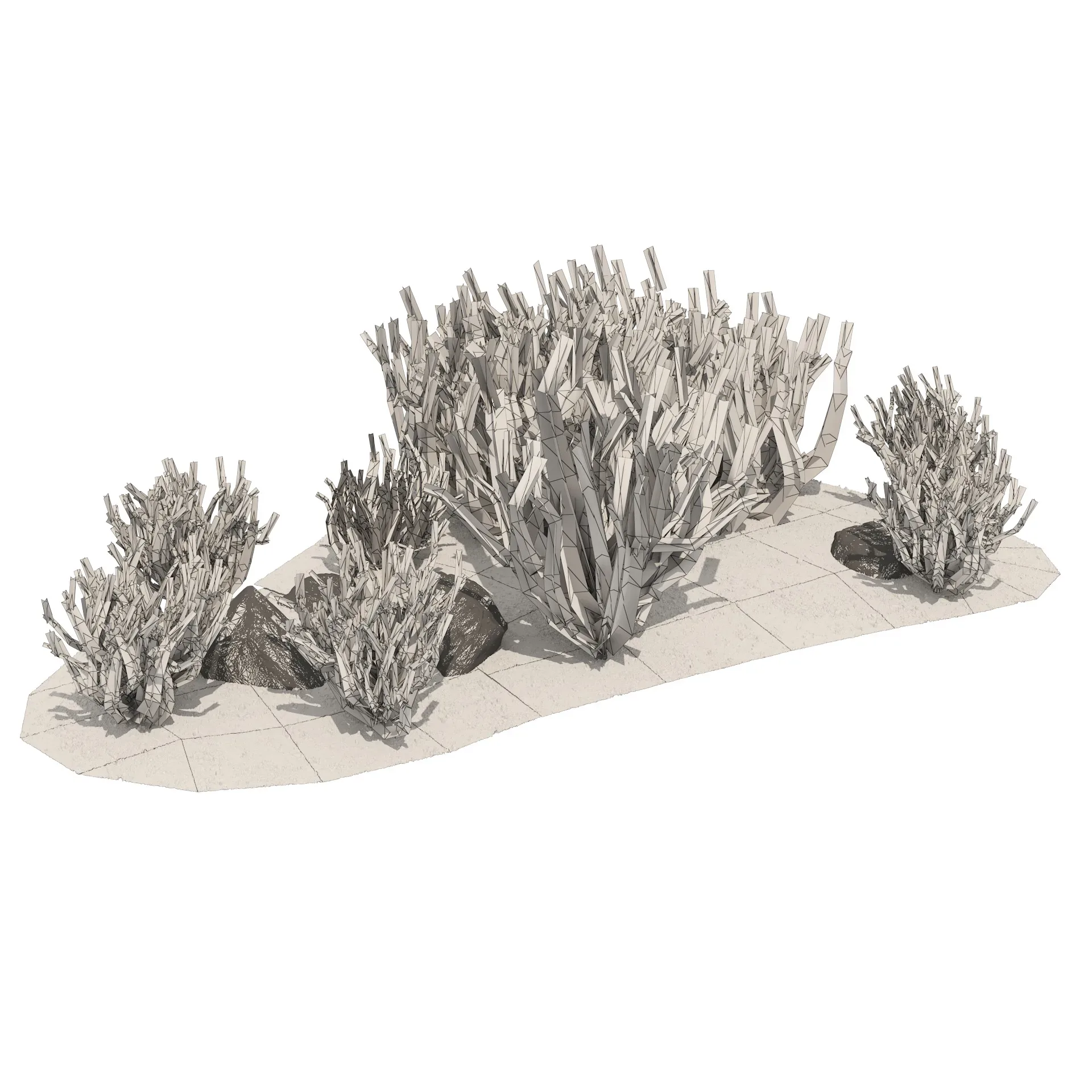 Silver Sagebrush Bushes