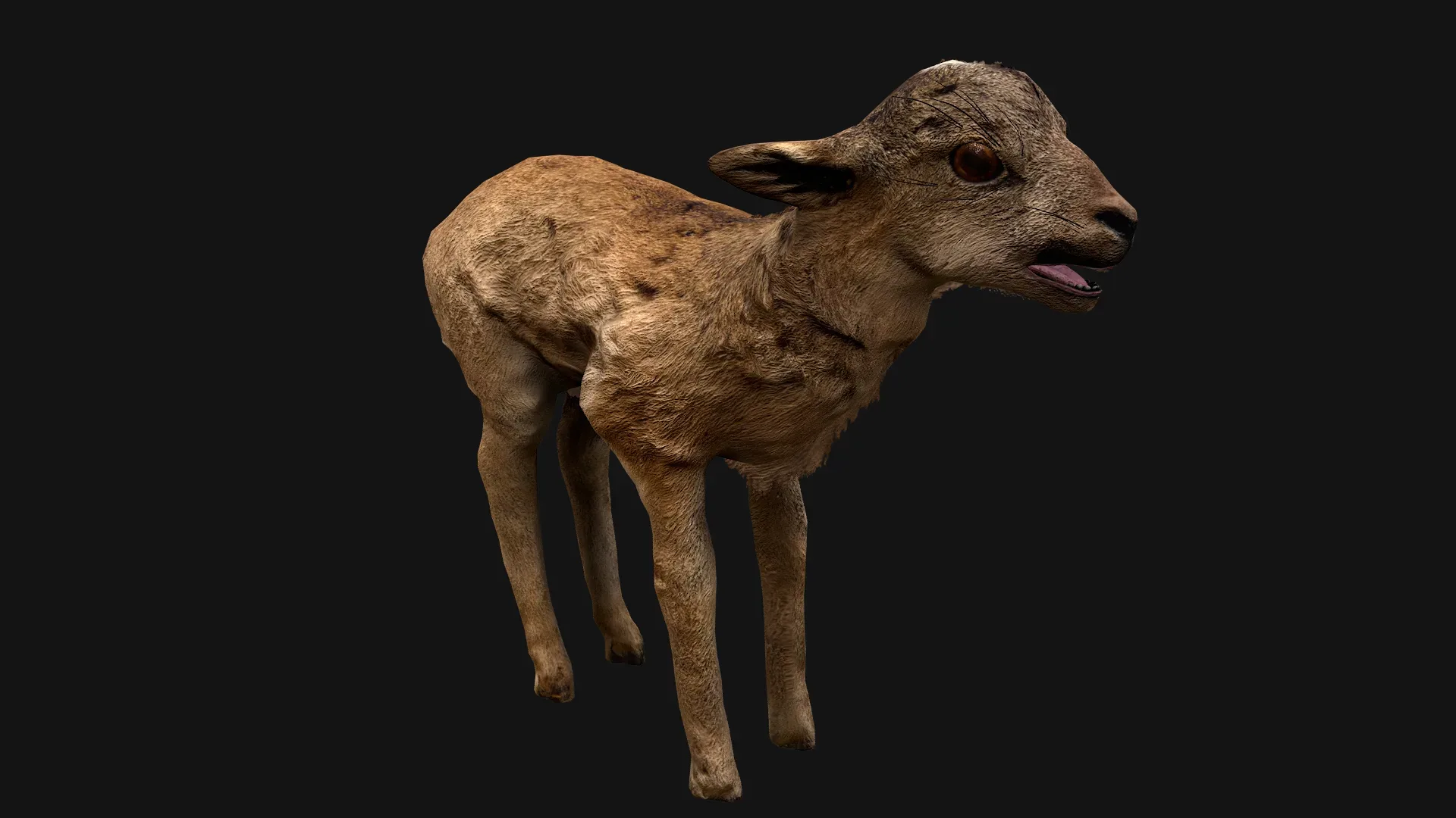 Deer and Crocodile Herbivore and Predator