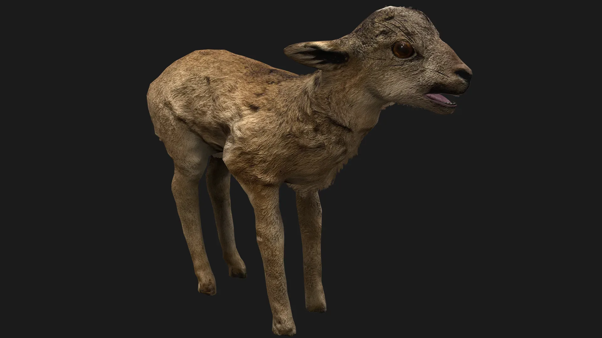 Deer and Crocodile Herbivore and Predator