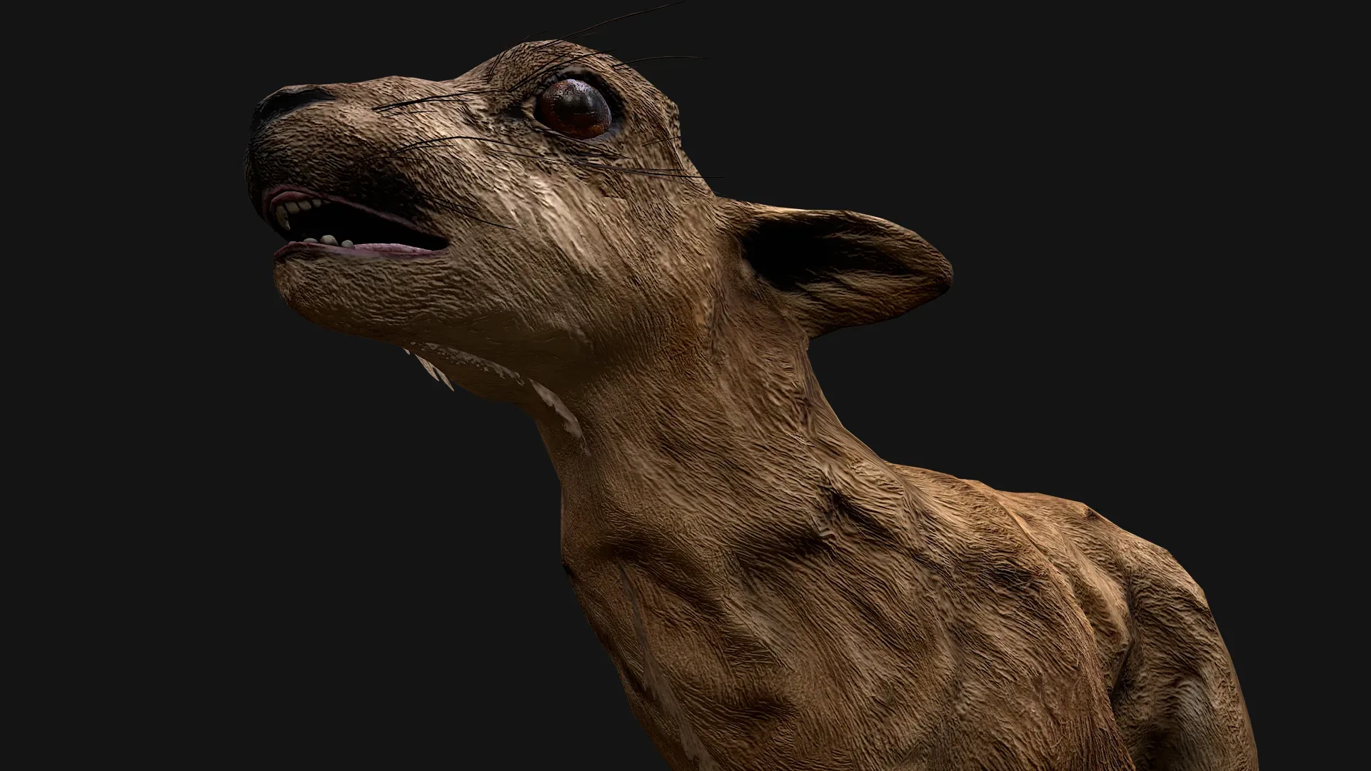 Deer and Crocodile Herbivore and Predator