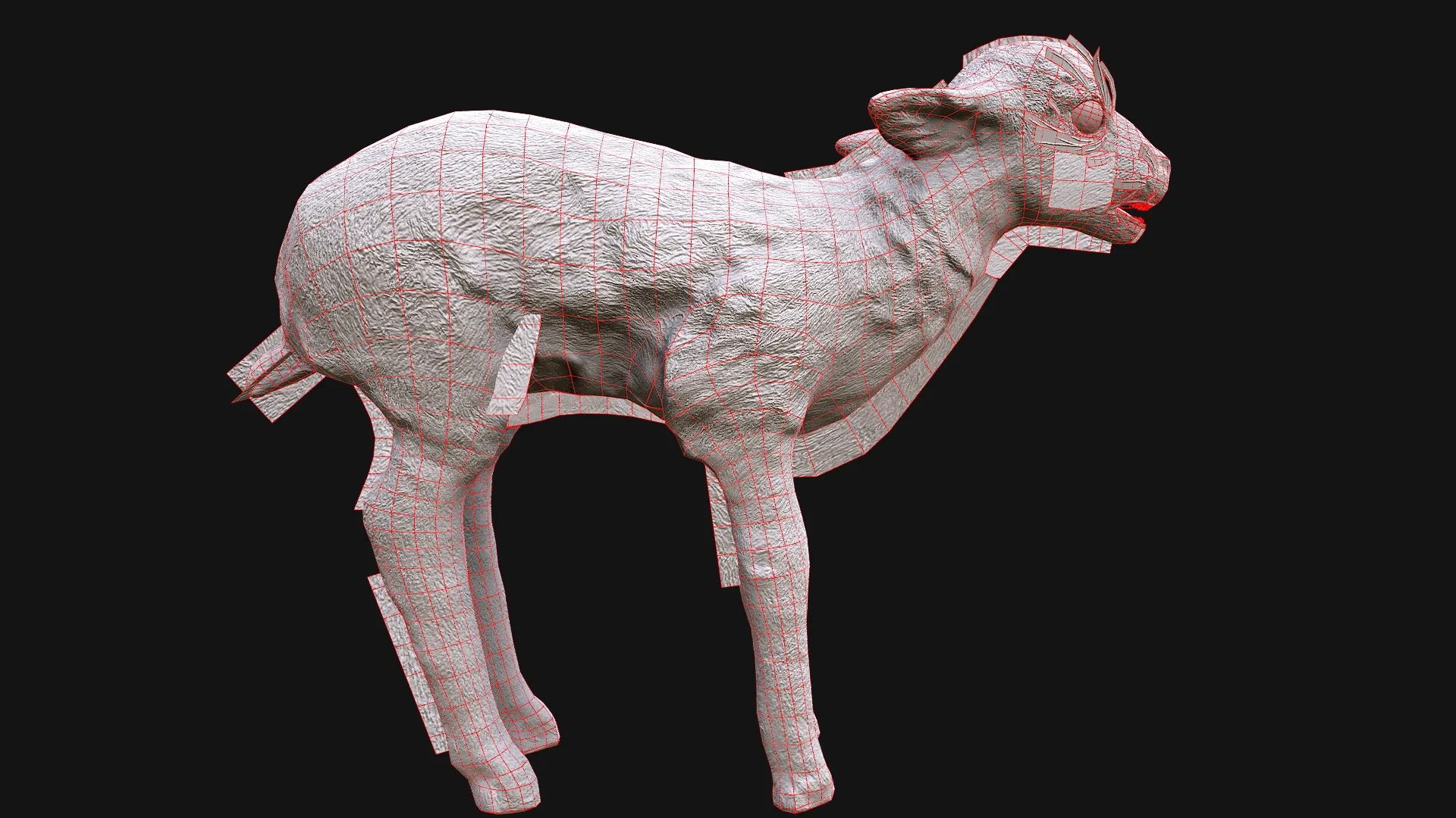 Deer and Crocodile Herbivore and Predator