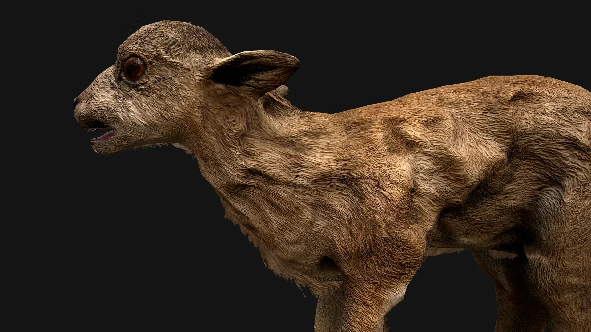 Deer and Crocodile Herbivore and Predator