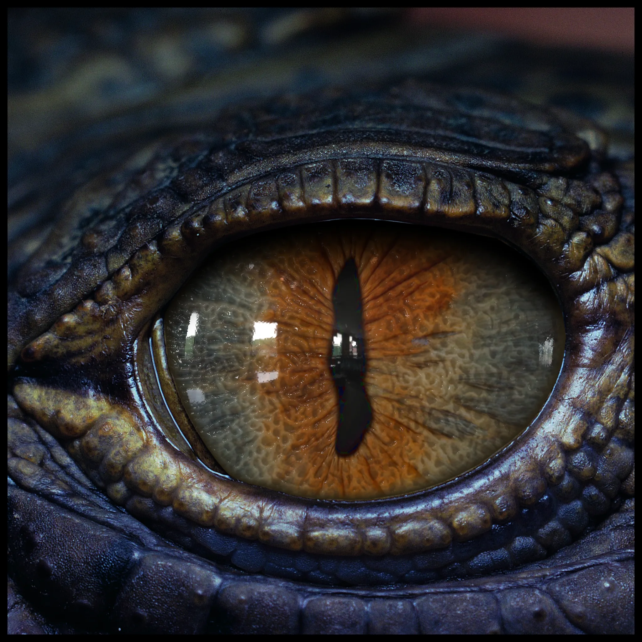 Creature Eyes Vol 07 - PBR