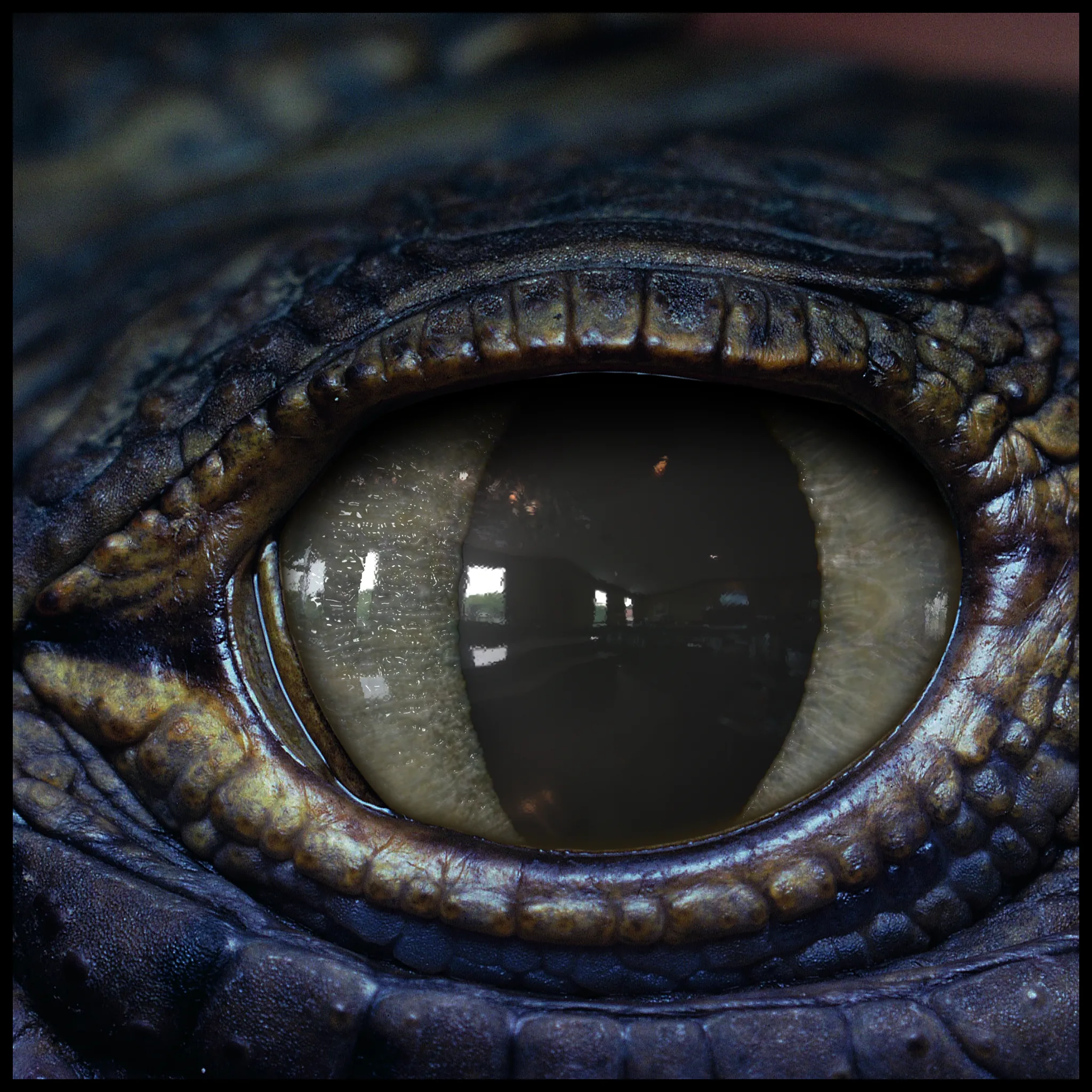 Creature Eyes Vol 07 - PBR