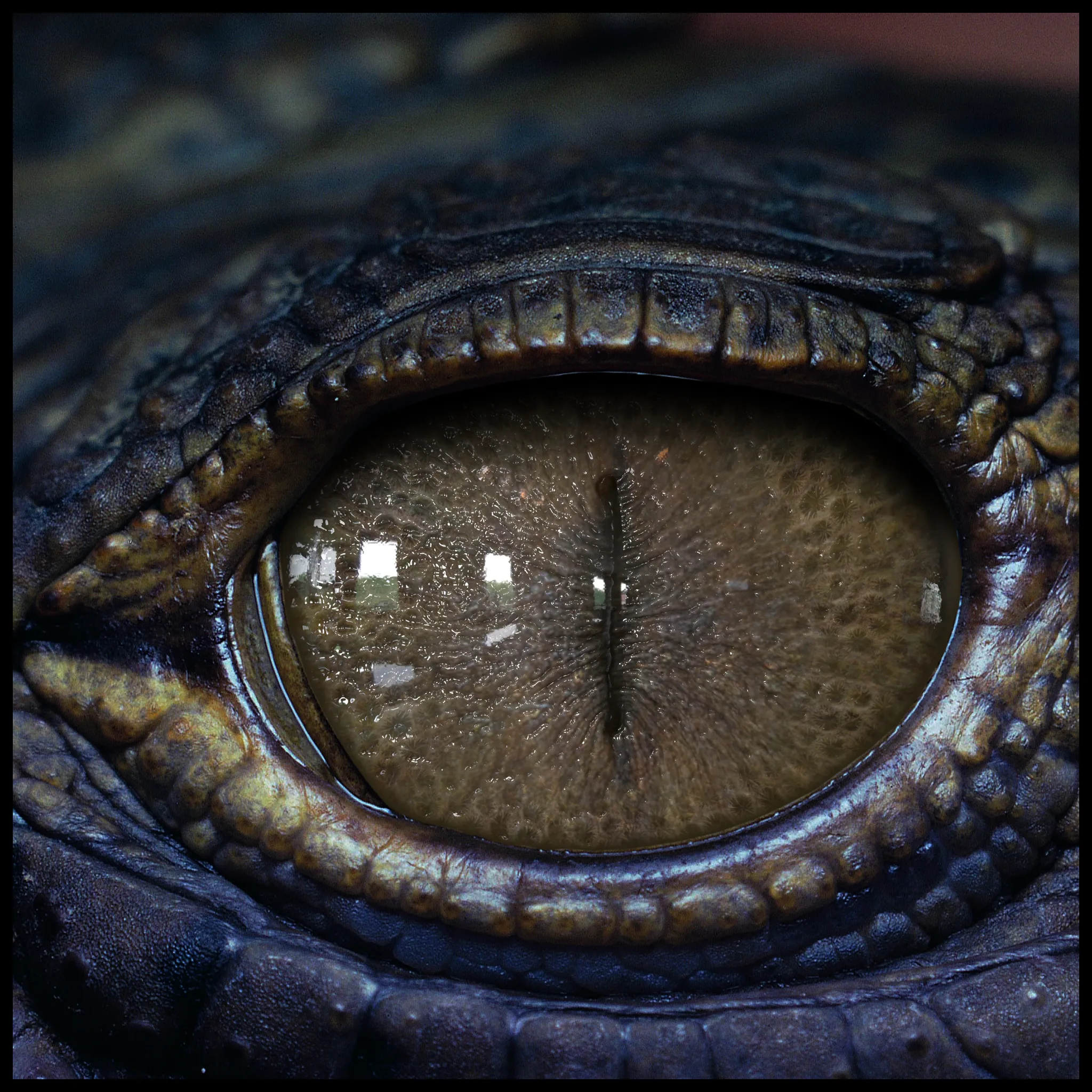 Creature Eyes Vol 07 - PBR