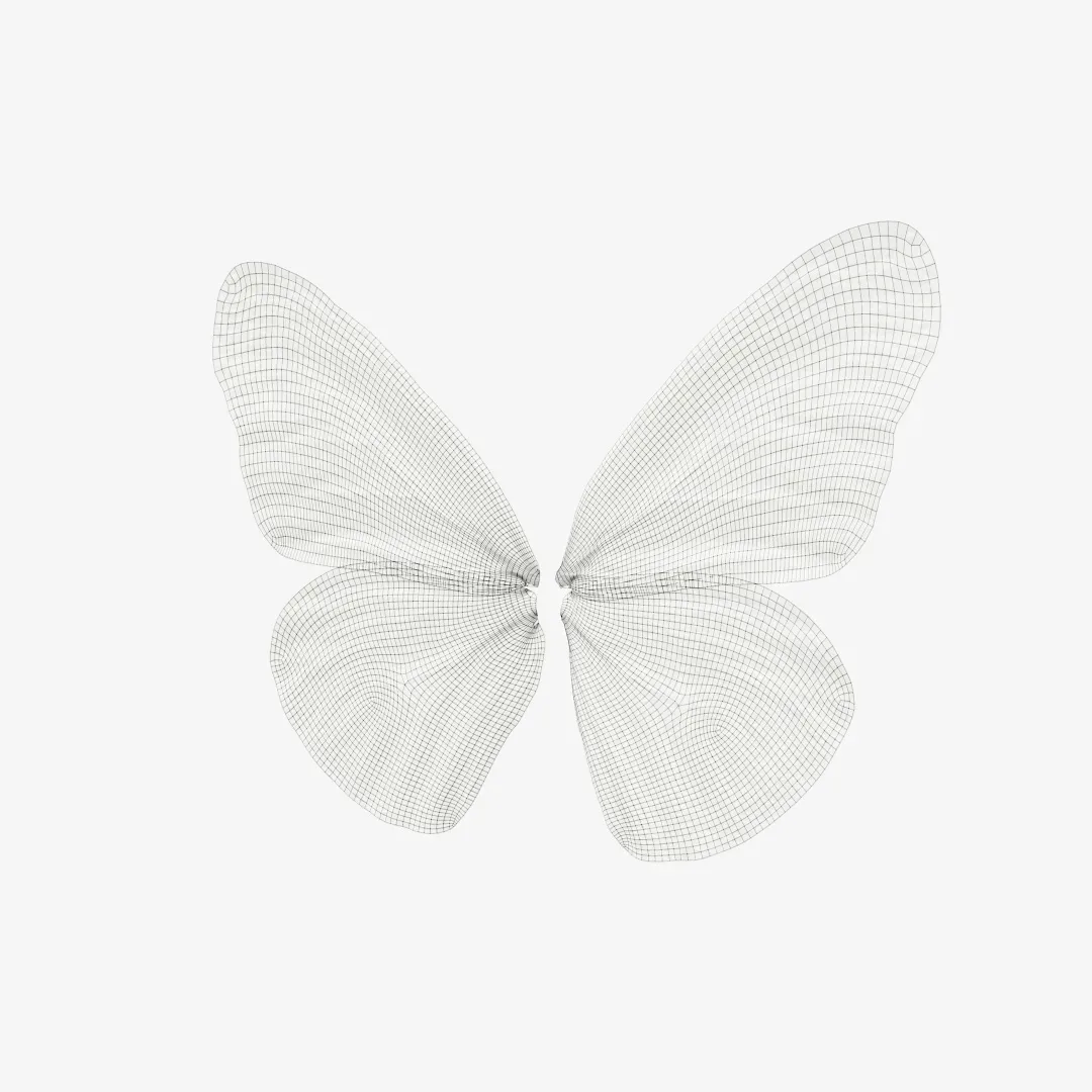 39 3D Scanned Butterfly Wings