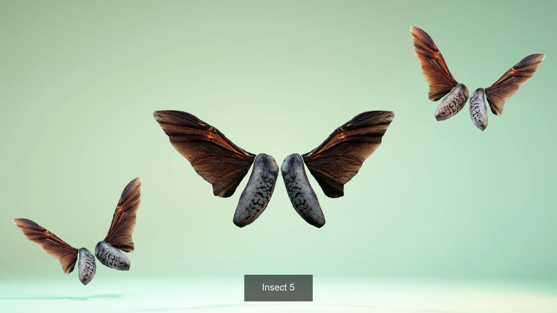 39 3D Scanned Butterfly Wings