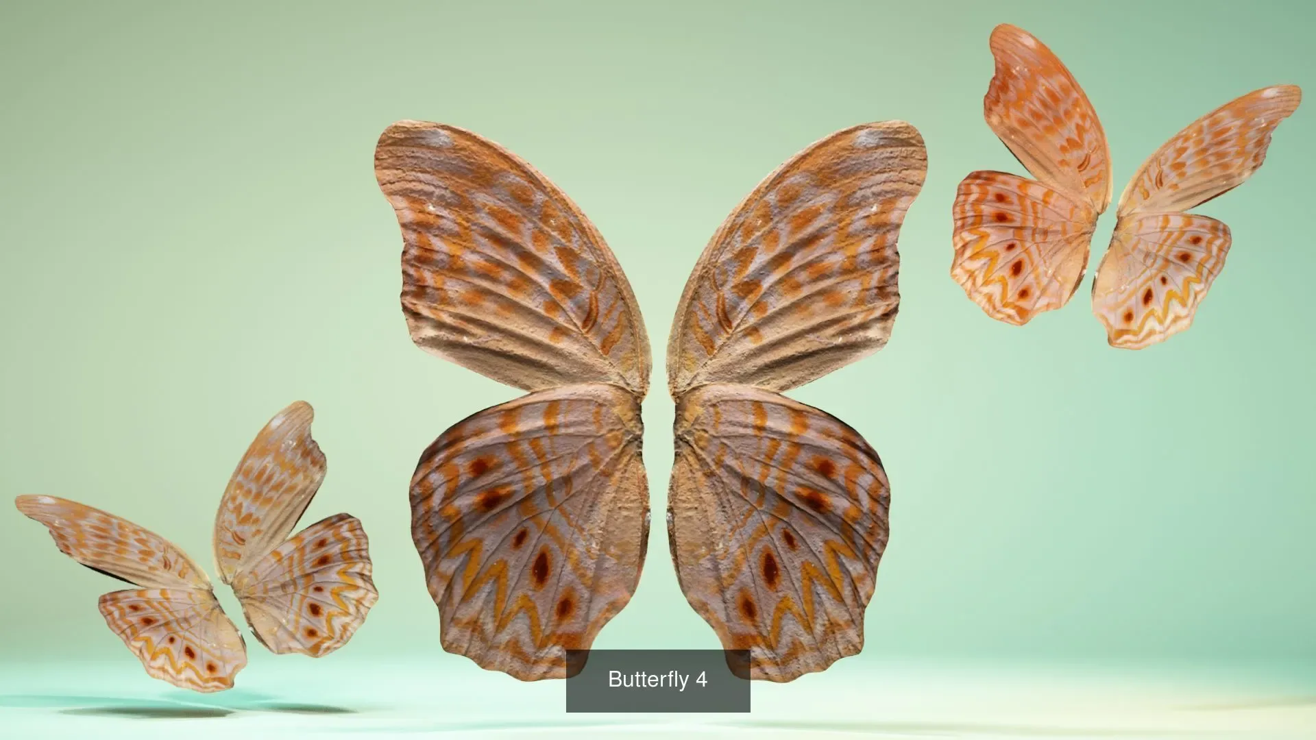 39 3D Scanned Butterfly Wings