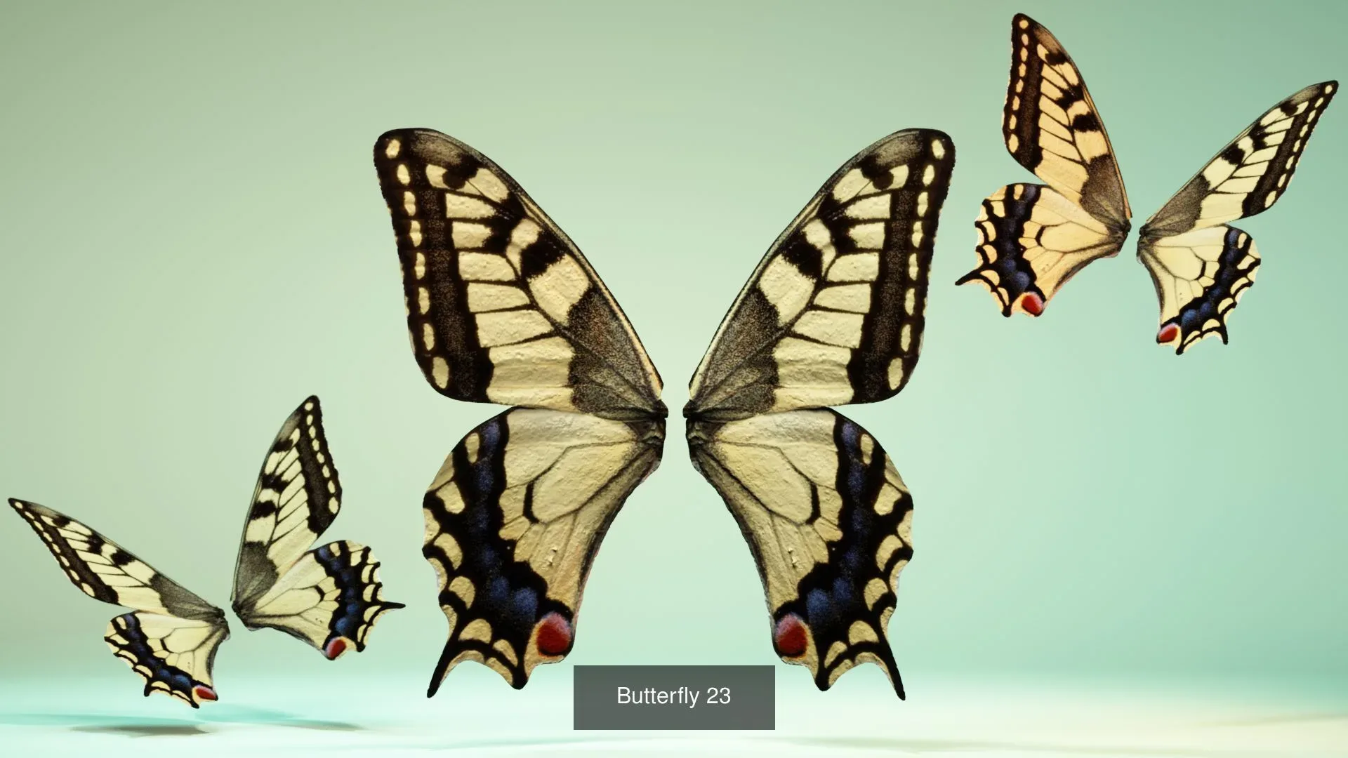 39 3D Scanned Butterfly Wings