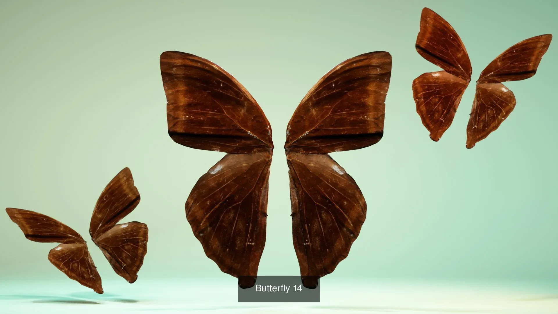 39 3D Scanned Butterfly Wings