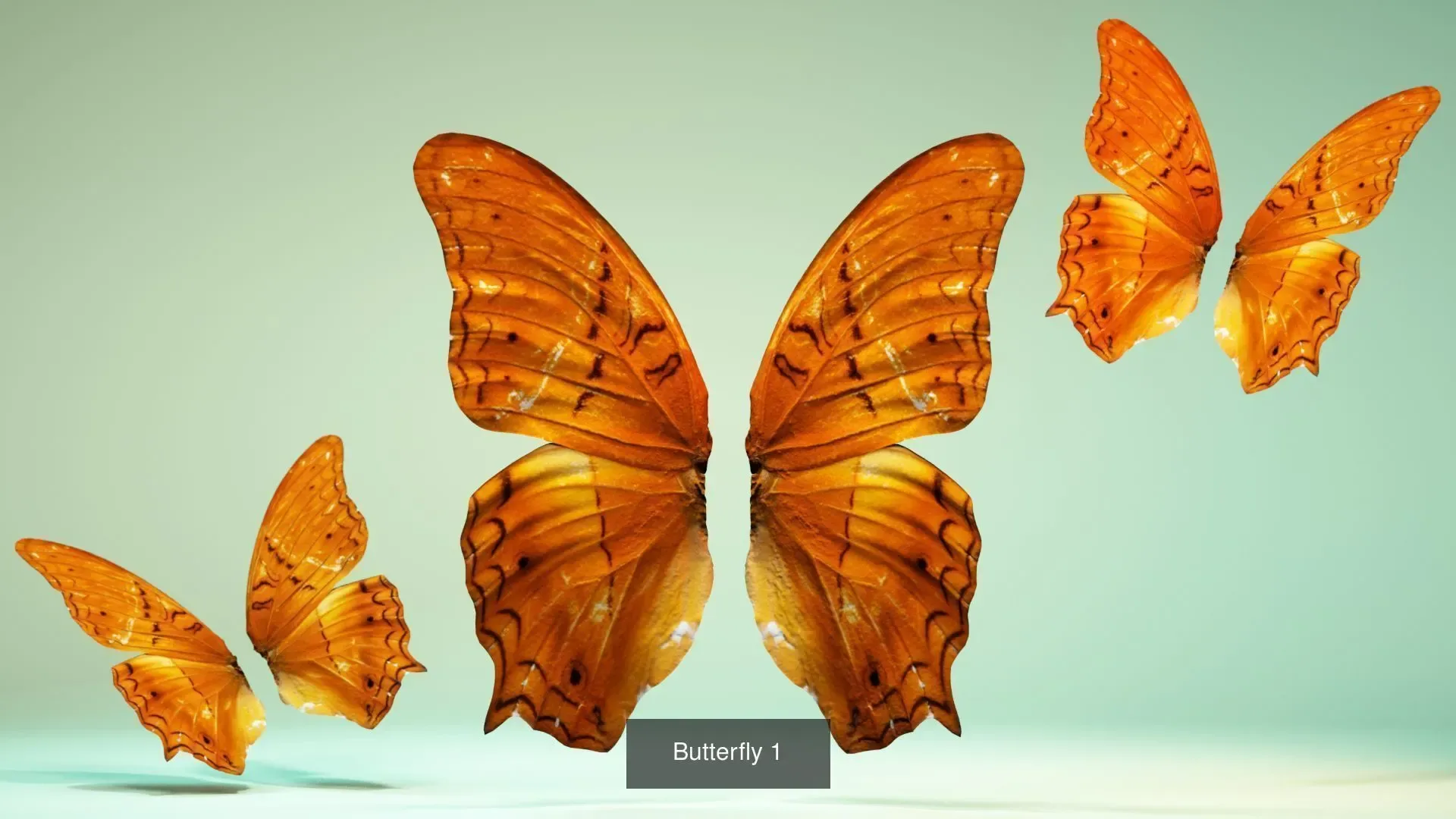 39 3D Scanned Butterfly Wings