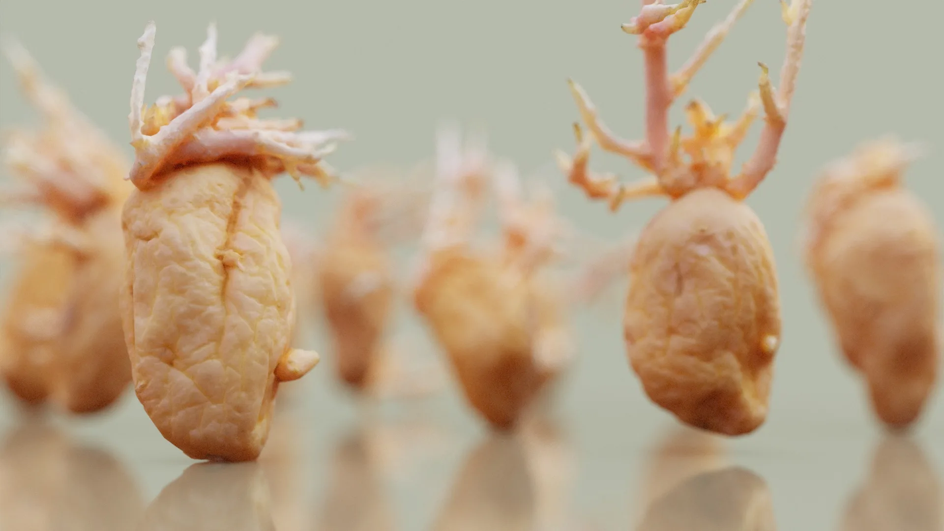 3D Scanned Shriveled Potatoes