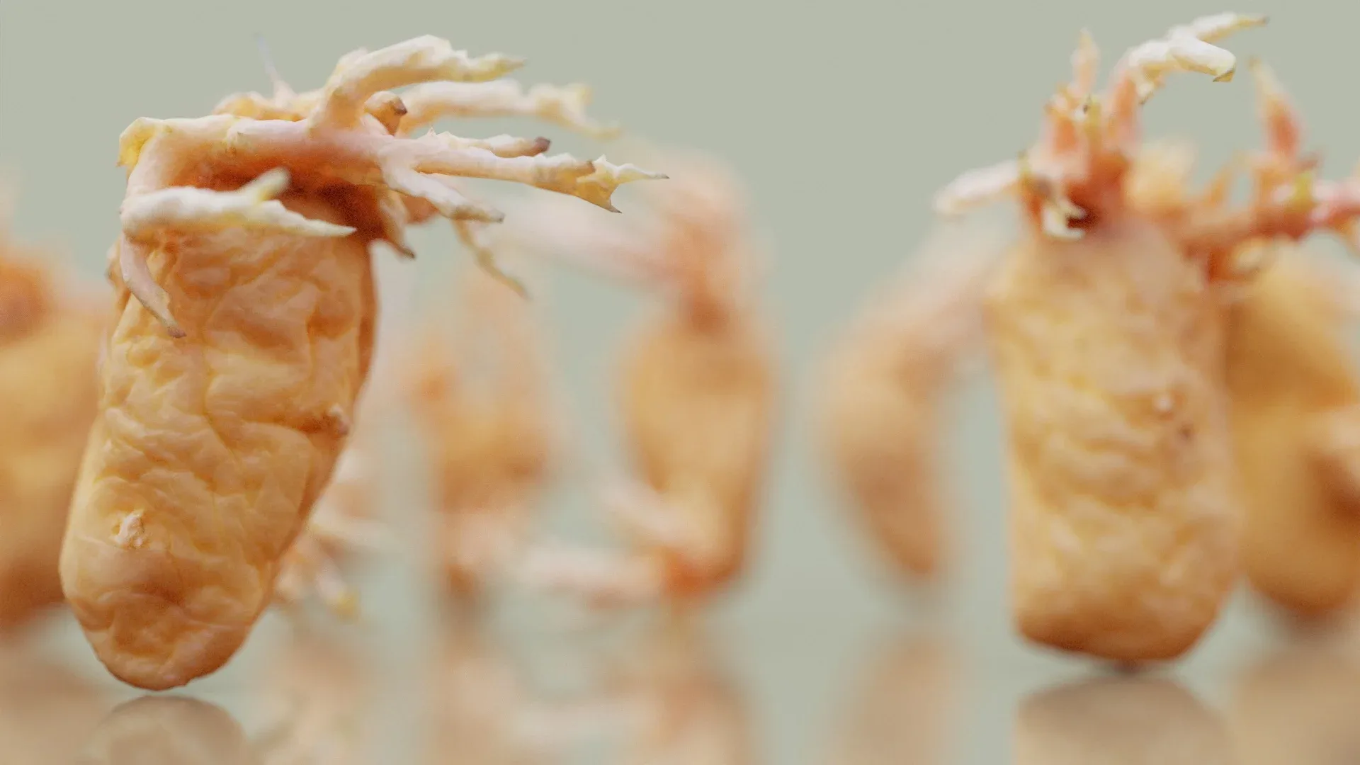 3D Scanned Shriveled Potatoes